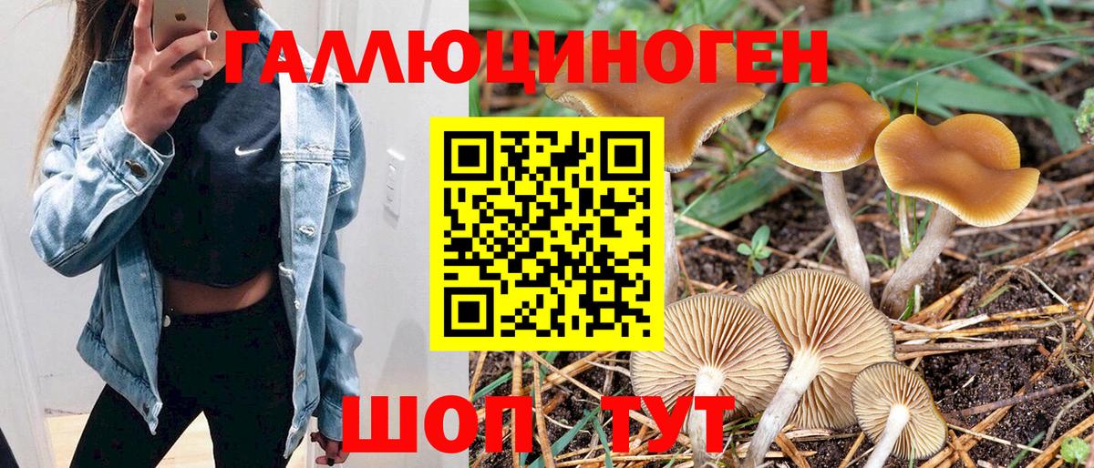 Галлюциногенные грибы Cubensis Апатиты